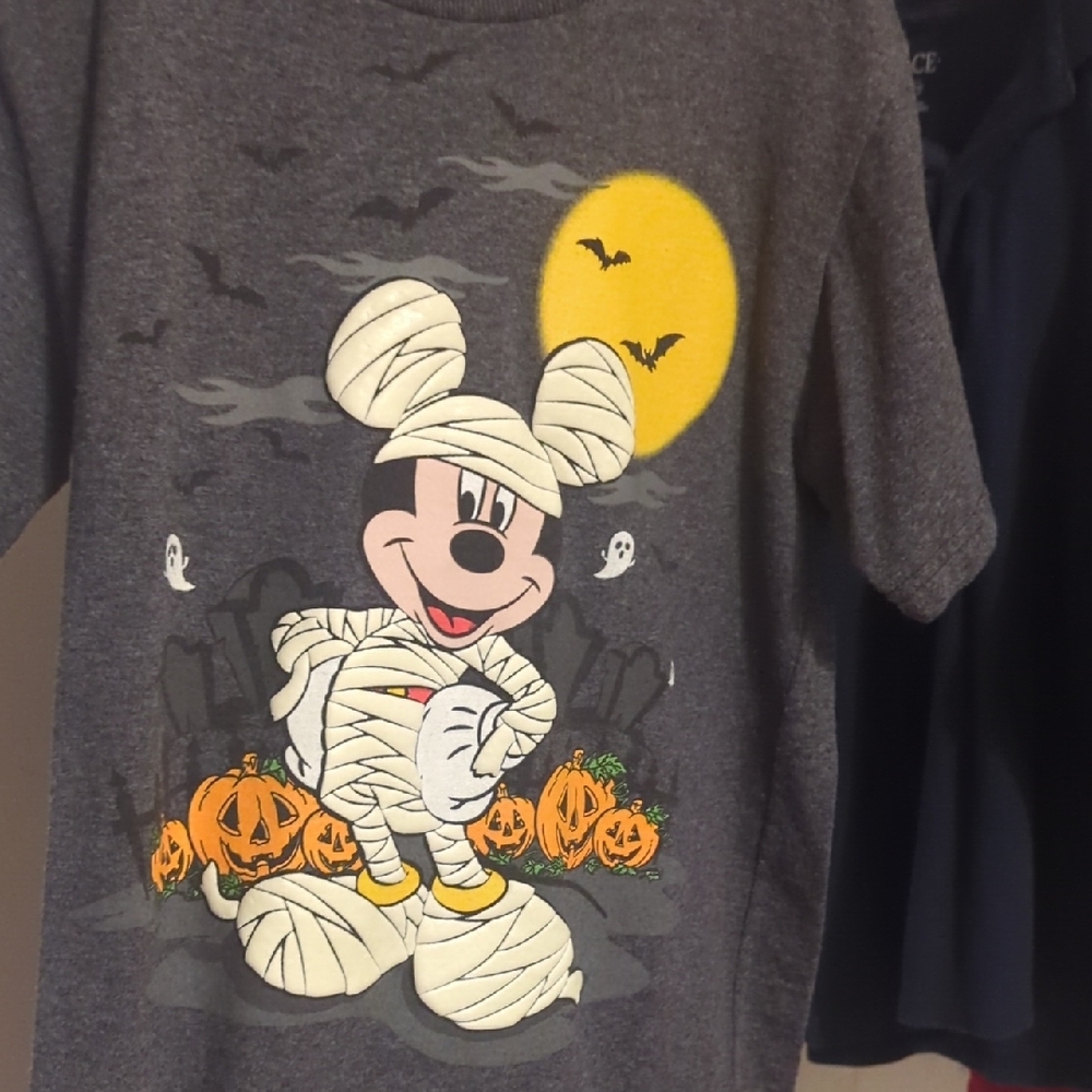 Disney Gray and Yellow Halloween Costume